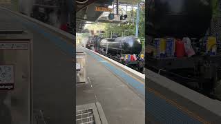 Picnic train in Kiama [upl. by Cramer]