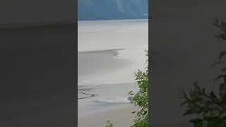 Turnagain Arm Bore Tide part 2 alaska nature [upl. by Lenej597]