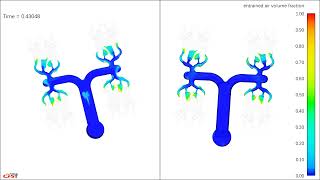 Flow Simulationentrained air [upl. by Atlante]