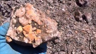 Fluorite crystal Collecting Last Chance MineWatson Mtn Prospect Turkey Creek New MexicoPart 6 [upl. by Nnep385]