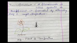 Thermoperiodism [upl. by Sekyere]