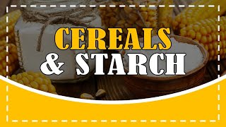 CEREAL AND STARCHES [upl. by Naujak]