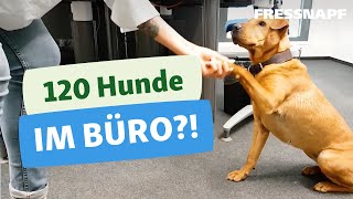 Bürohunde  Ein Tag in der Zentrale von Fressnapf [upl. by Aniri]