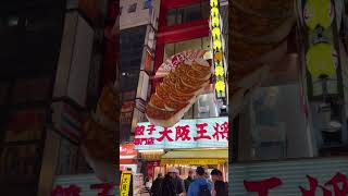 Dotonbori Giant Signs  Osaka Food Street  Namba Districk [upl. by Anais954]