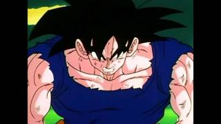 Goku transformation super saiyan vf  Dragon Ball Z [upl. by Aikkan792]