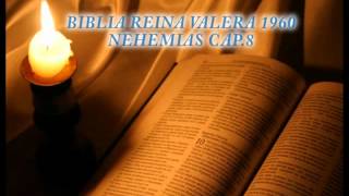 Biblia HabladaBIBLIA REINA VALERA 1960 NEHEMIAS CAP 8 [upl. by Molahs719]