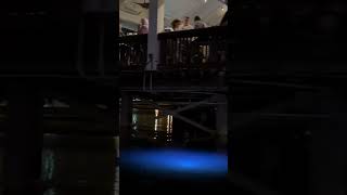 AMPHICAR EXPERIENCE AT DISNEY SPRINGS disney car disneysprings trending water subscribe [upl. by Lebna]