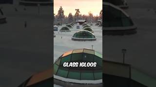 Stay in a Glass Igloo at Hotel Kakslauttanen A Christmas Dream in Lapland besthotel igloo [upl. by Glen]