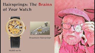 How Your Watch Works and the Role of the Hairspring [upl. by Piscatelli]