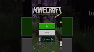 North Korea Russia South America Where will you live minecraft [upl. by Rese]