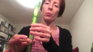 Pink Panther Theme for soprano recorder [upl. by Tonina409]