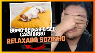 FAÇA SEU CACHORRO FICAR RELAXADO QUANDO FICAR SOZINHO [upl. by Hutchins]