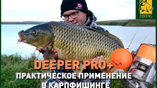 Deeper PRO Практическое применение в карпфишинге [upl. by Marjory]