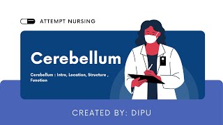 Function Of Cerebellum [upl. by Neetsirhc]