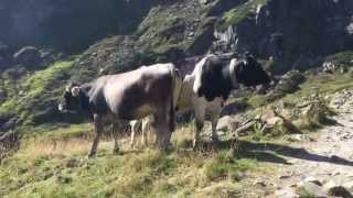 Philosophische Bildwanderung Franz Senn Hütte Neustift in Tirol Stubaital Österreich Glückliche [upl. by Yelrah]