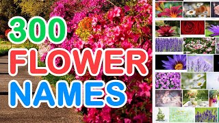 300 FLOWER NAMES IN ENGLISH WITH PICTURES THAT YOU MAY FIND IN YOUR GARDEN [upl. by Conlen]