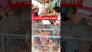 উপশহর মুরগির বাজার। uposhohor trending shortvideo viralvideo video ytshorts foryou bazar [upl. by Eniamart]