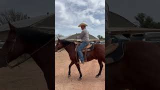 Waggoner Ranch Rodeo 2023 ranching rodeo ranchrodeo horse cattle ranch cowboy texas [upl. by Calabrese]