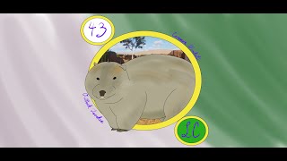 Common Wombats A Planet Zoo Experience [upl. by Ricard]