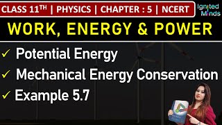 Class 11th Physics  Potential Energy  Conservation of Mechanical Energy  Example 57  Chapter 5 [upl. by Aneer]