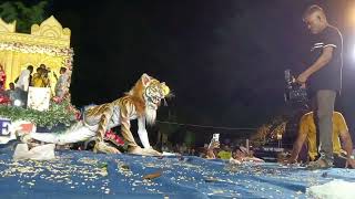 KGP mata puja Old settlement tiger competition [upl. by Aneehsyt]