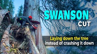 10 Dodging a tree with a Swanson [upl. by Absa]