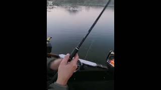 Whopper Plopper Meerval topwater aanbeten Nederland [upl. by Cathryn888]