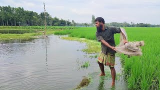 Amazing Fishing  Cast Fishing Skill  Traditional Net Fishing Videos [upl. by Santa]