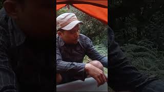 RELAXING SOLO CAMPING  SOUND OF NATURE  ASMR shorts camping campinginheavyrain bushcraft [upl. by Hamirak657]