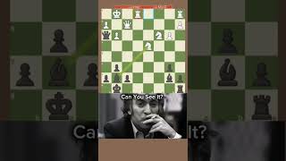 ✨ Brilliant ComboTal Edit✨🔥mikhailtal chess chessgrandmaster [upl. by Berkie646]