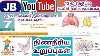 12th BIO Zoology7Health and DiseasesLYMPHOID ORGANS TM [upl. by Aylat367]