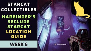 Harbingers Seclude Starcat Location Guide  Harbingers Seclude Starcat location  Destiny 2 [upl. by Heurlin447]