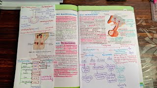 Chemical control and coordination class 11th NCERT BIOLOGY FOR NEET [upl. by Marta905]