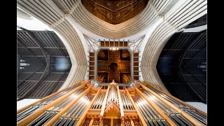 Messiaens La Nativité du Seigneur  François Cloete organ [upl. by Lerrad]