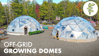 Brilliant OffGrid Geodesic Greenhouse Perfect for Homesteading amp 4 Season Food Production [upl. by Campos]