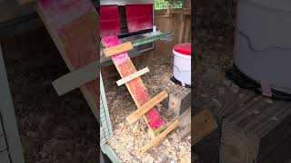 How to get Chickens to Use Nesting Boxes babychicks [upl. by Enaitsirhc554]