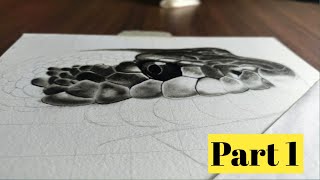 Snake Drawing with charcoal pencil 🐍 [upl. by Rodrigo270]