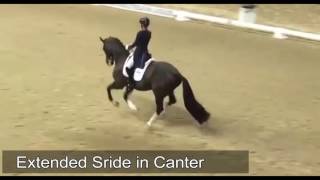 Charlotte Dujardin  types of Dressage movements [upl. by Attebasile342]