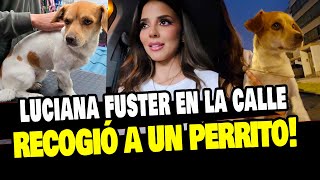 LUCIANA FUSTER RECOGIÓ UN PERRITO DE LA CALLE QUE ESTABA PÉRDIDO ¡NOBLE GESTO [upl. by Langbehn]