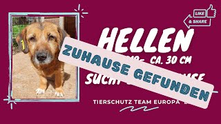 HELLEN hat ein tolles Zuhause gefunden [upl. by Jeunesse]