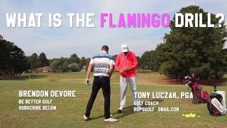 Flamingo Drill Might Change Your Golf Life [upl. by Anaejer]