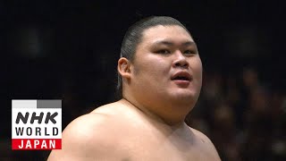 Onosato 大の里  GRAND SUMO Profiles [upl. by Goodman500]