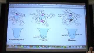 12 Biochemistry Catalytic Mechanisms I Lecture for Kevin Aherns BB 450550 [upl. by Chryste]