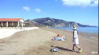 Official Harlem Shake Zakynthos  Kalamaki Beach  Greece [upl. by Casteel]