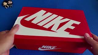 Unboxing Nike Ebernon Low nikeshoes unboxing unboxingvideo shoes nike [upl. by Atiuqam]