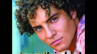 David Bisbal  Lloraré las penaswmv [upl. by Alyt]