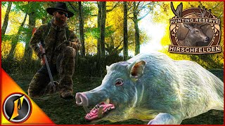 Back to Back Hirschfelden Rares in theHunter Classic [upl. by Allecsirp]