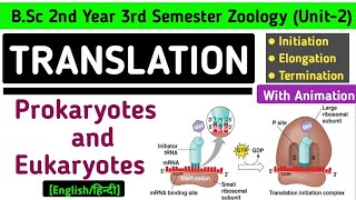 Translation in Prokaryotes and Eukaryotes  Initiation Elongation and Termination of Translation [upl. by Borlase362]