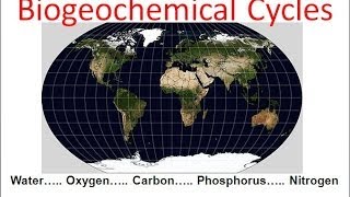 Biogeochemical Cycles honors biology updated [upl. by Innis]