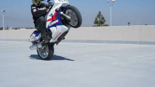 1993 CBR 900 RR vs 2010 CBR 1000 RR 17 years of Honda sportbikes [upl. by Troth699]